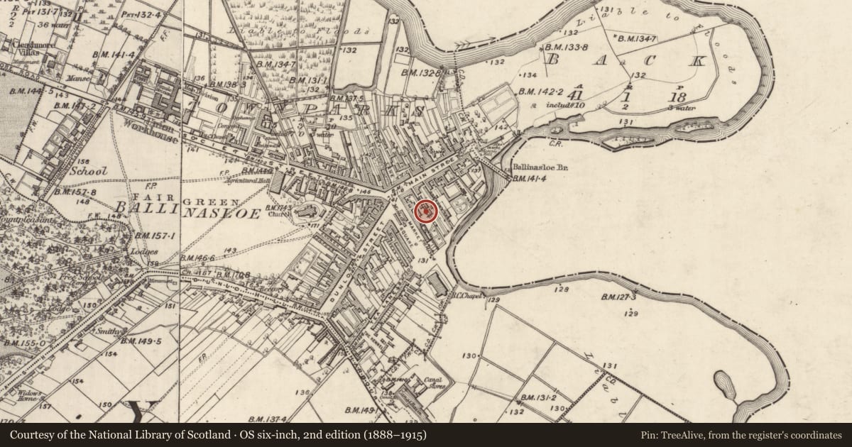 Ordnance Survey six-inch map, 2nd edition (1888–1915) covering the location of House - 18th/19th century, Townparks (Clonmacnowen By. - Ballinasloe), County Galway, with a pin at the register's coordinates