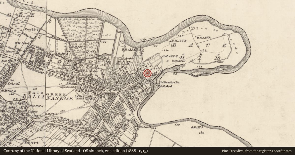 Ordnance Survey six-inch map, 2nd edition (1888–1915) covering the location of House - 18th/19th century, Townparks (Clonmacnowen By. - Ballinasloe), County Galway, with a pin at the register's coordinates