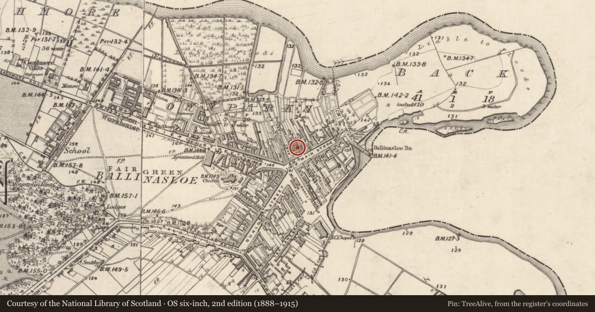 Ordnance Survey six-inch map, 2nd edition (1888–1915) covering the location of Memorial stone, Townparks (Clonmacnowen By. - Ballinasloe), County Galway, with a pin at the register's coordinates