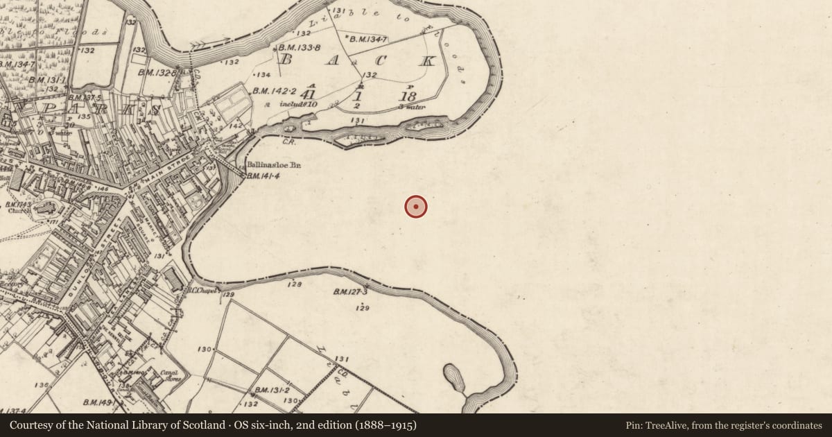 Ordnance Survey six-inch map, 2nd edition (1888–1915) covering the location of House - 18th/19th century, Townparks (Clonmacnowen By. - Ballinasloe), County Galway, with a pin at the register's coordinates