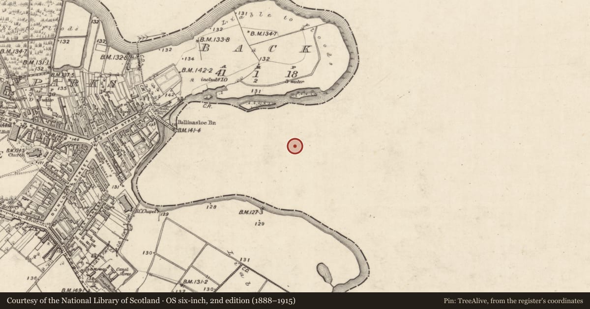 Ordnance Survey six-inch map, 2nd edition (1888–1915) covering the location of Bawn, Townparks (Moycarn By. - Ballinasloe), County Galway, with a pin at the register's coordinates