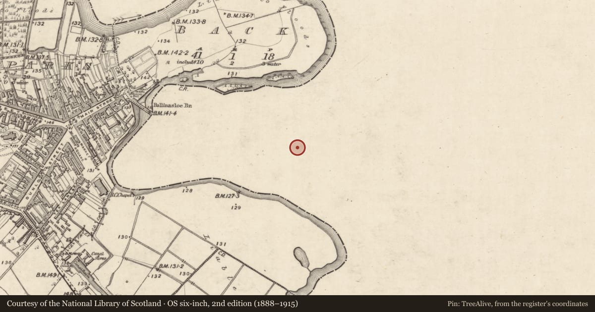 Ordnance Survey six-inch map, 2nd edition (1888–1915) covering the location of House - 18th/19th century, Townparks (Clonmacnowen By. - Ballinasloe), County Galway, with a pin at the register's coordinates