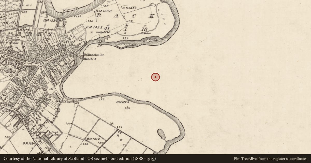 Ordnance Survey six-inch map, 2nd edition (1888–1915) covering the location of Mill - corn, Townparks (Moycarn By. - Ballinasloe), County Galway, with a pin at the register's coordinates