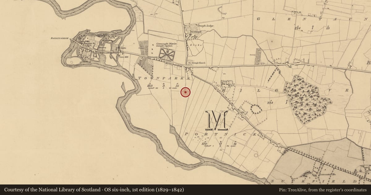 Ordnance Survey six-inch map, 1st edition (1829–1842) covering the location of Quarry, Townparks (Moycarn By. - Ballinasloe), County Galway, with a pin at the register's coordinates