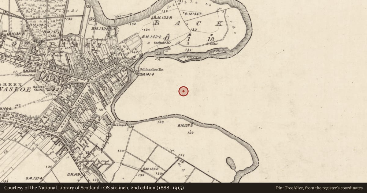 Ordnance Survey six-inch map, 2nd edition (1888–1915) covering the location of Bridge, Townparks (Moycarn By. - Ballinasloe), County Galway, with a pin at the register's coordinates