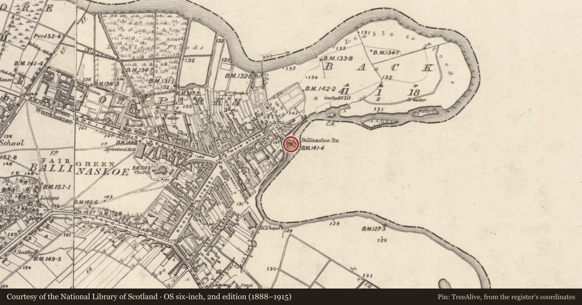 Ordnance Survey six-inch map, 2nd edition (1888–1915) covering the location of Bridge, Townparks (Clonmacnowen By. - Ballinasloe), Townparks (Moycarn By. - Ballinasloe), County Galway, with a pin at the register's coordinates