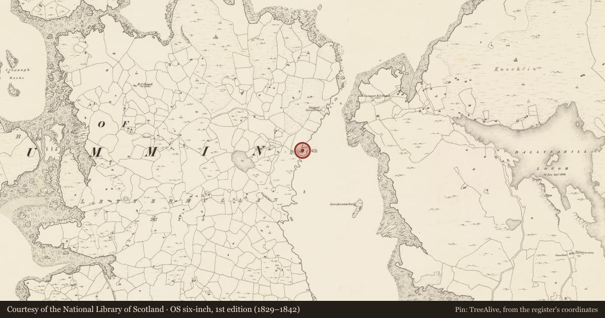 Ordnance Survey six-inch map, 1st edition (1829–1842) covering the location of Castle - unclassified, Leitir Mealláin, County Galway, with a pin at the register's coordinates