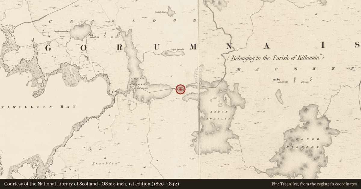 Ordnance Survey six-inch map, 1st edition (1829–1842) covering the location of Mill - corn, An Máimín, County Galway, with a pin at the register's coordinates