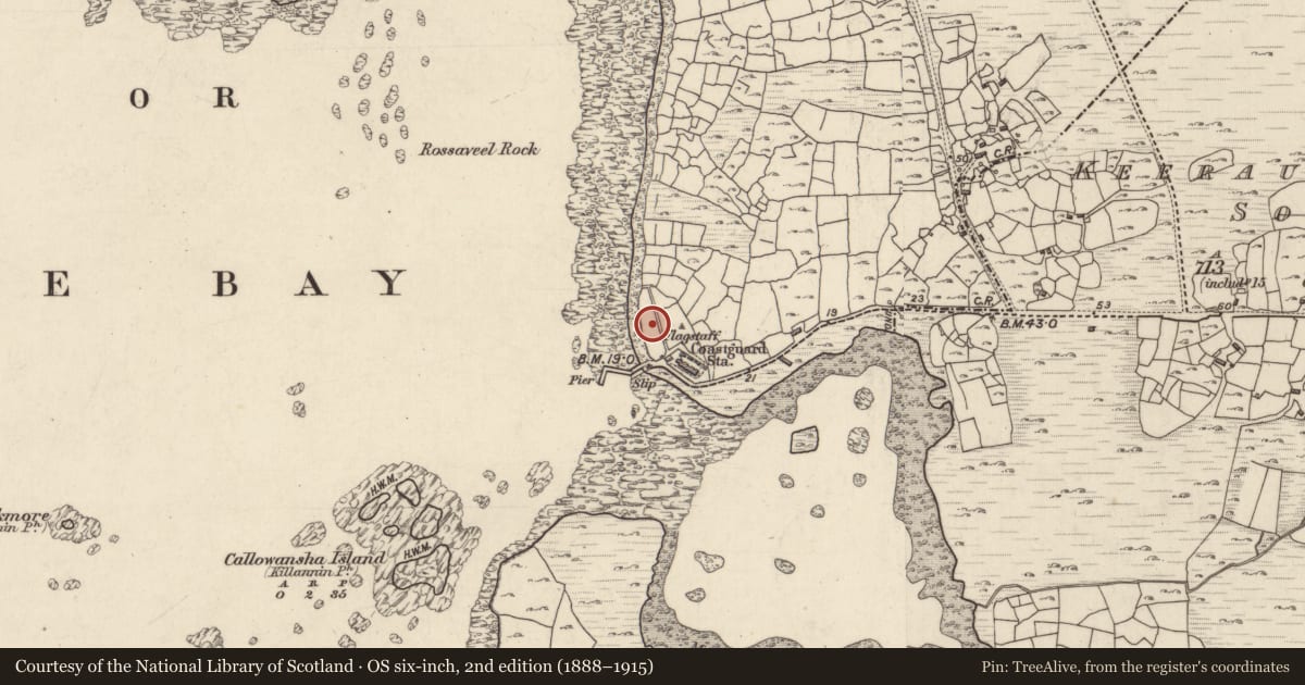 Ordnance Survey six-inch map, 2nd edition (1888–1915) covering the location of Building, Ballintleva, County Galway, with a pin at the register's coordinates