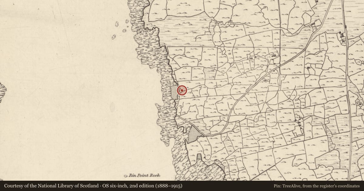 Ordnance Survey six-inch map, 2nd edition (1888–1915) covering the location of Children's burial ground, An Cheathrú Rua Theas, County Galway, with a pin at the register's coordinates