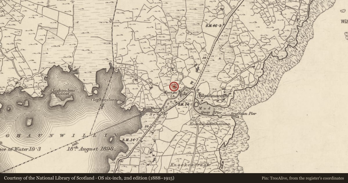 Ordnance Survey six-inch map, 2nd edition (1888–1915) covering the location of Mill - unclassified, Cladhnach, County Galway, with a pin at the register's coordinates