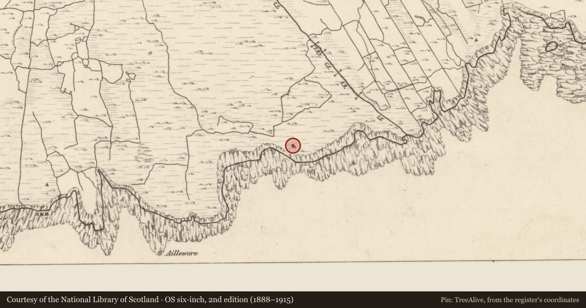 Ordnance Survey six-inch map, 2nd edition (1888–1915) covering the location of Kiln - kelp drying, An Máimín, County Galway, with a pin at the register's coordinates