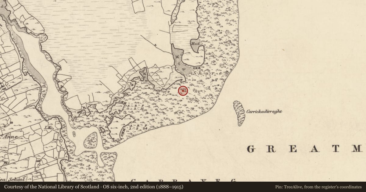 Ordnance Survey six-inch map, 2nd edition (1888–1915) covering the location of Ritual site - holy well, Tír An Fhia, County Galway, with a pin at the register's coordinates