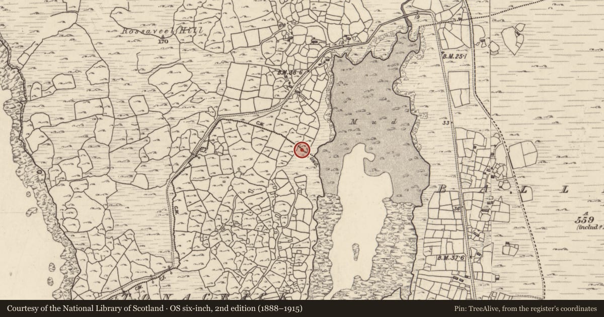 Ordnance Survey six-inch map, 2nd edition (1888–1915) covering the location of Children's burial ground, Ros An Mhíl, Tóin An Chnoic, County Galway, with a pin at the register's coordinates