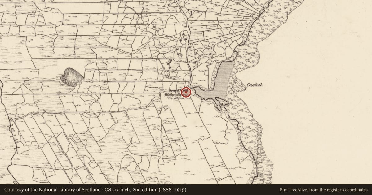 Ordnance Survey six-inch map, 2nd edition (1888–1915) covering the location of Graveyard, Tír An Fhia, County Galway, with a pin at the register's coordinates