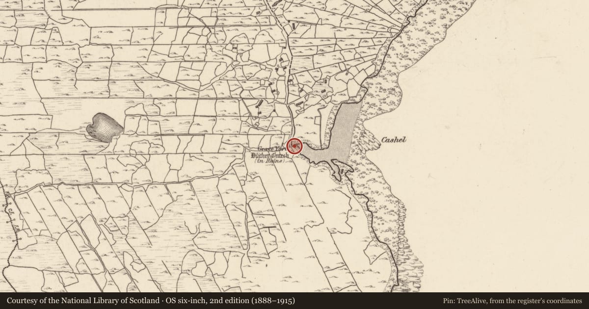 Ordnance Survey six-inch map, 2nd edition (1888–1915) covering the location of Castle - unclassified, Tír An Fhia, County Galway, with a pin at the register's coordinates