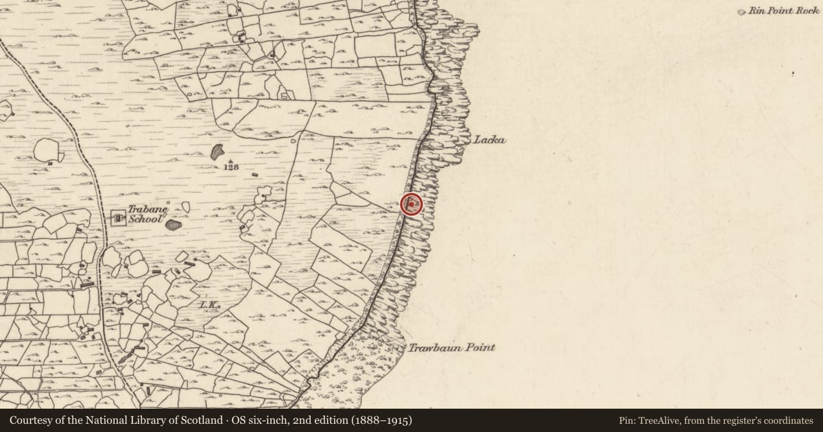 Ordnance Survey six-inch map, 2nd edition (1888–1915) covering the location of Ritual site - holy well, Tír An Fhia, County Galway, with a pin at the register's coordinates