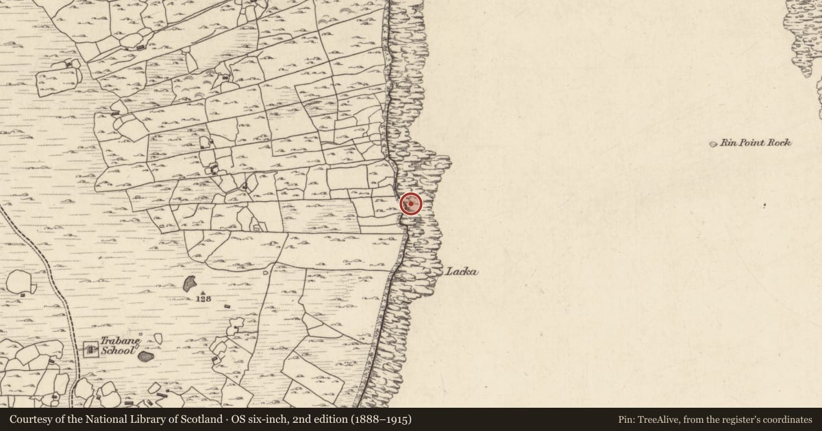 Ordnance Survey six-inch map, 2nd edition (1888–1915) covering the location of Ritual site - holy well, Tír An Fhia, County Galway, with a pin at the register's coordinates