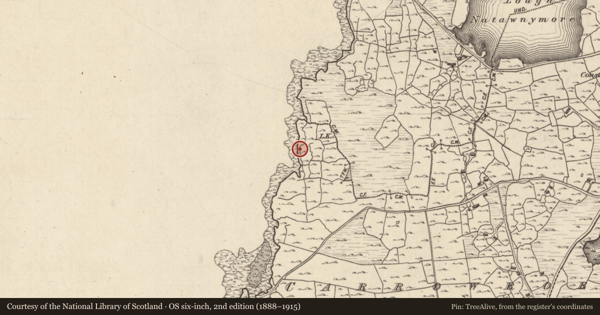 Ordnance Survey six-inch map, 2nd edition (1888–1915) covering the location of Burial, An Cheathrú Rua Theas, County Galway, with a pin at the register's coordinates