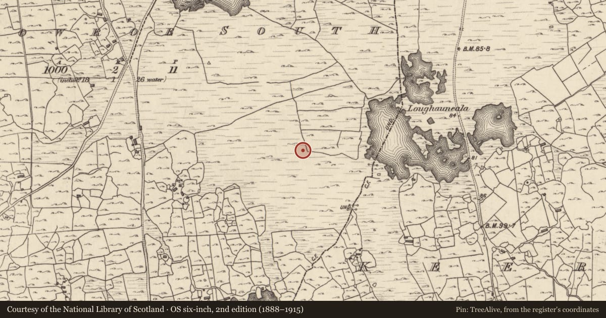 Ordnance Survey six-inch map, 2nd edition (1888–1915) covering the location of Burial ground, An Cheathrú Rua Theas, County Galway, with a pin at the register's coordinates