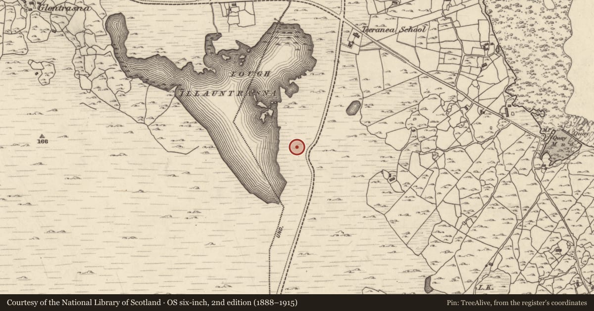 Ordnance Survey six-inch map, 2nd edition (1888–1915) covering the location of Children's burial ground, Tír An Fhia, County Galway, with a pin at the register's coordinates