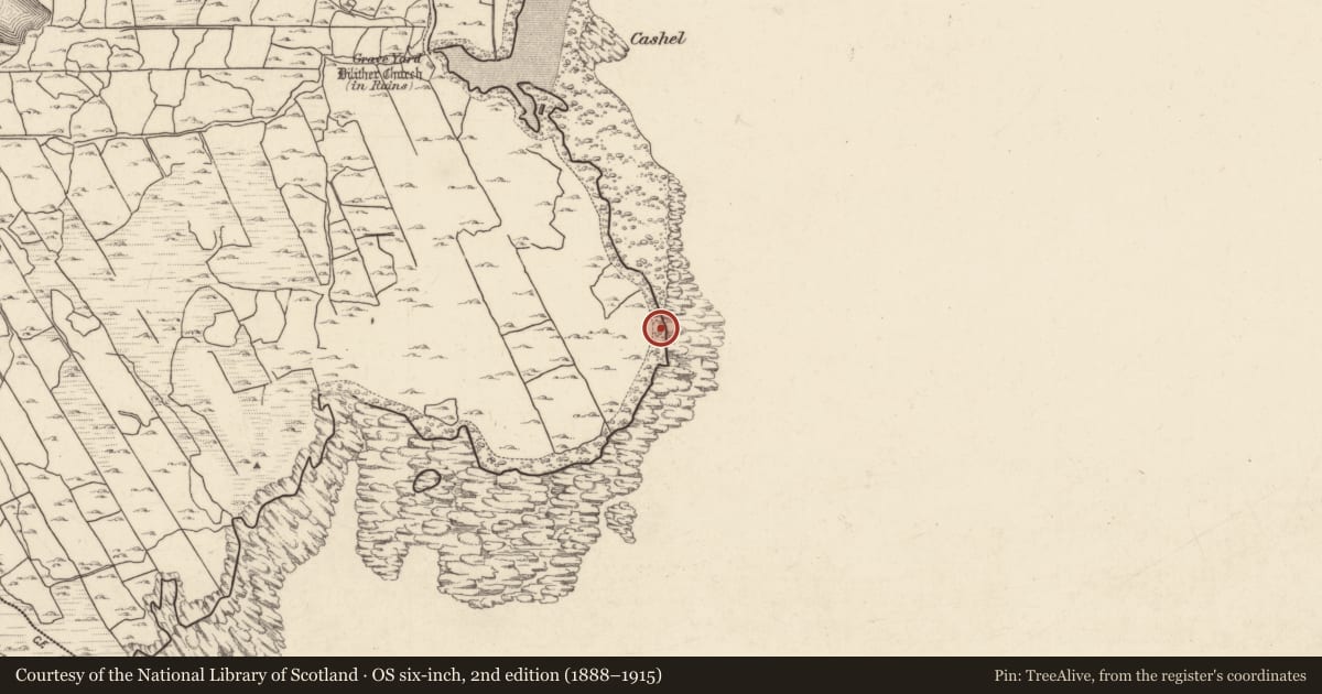 Ordnance Survey six-inch map, 2nd edition (1888–1915) covering the location of Midden, Tír An Fhia, County Galway, with a pin at the register's coordinates