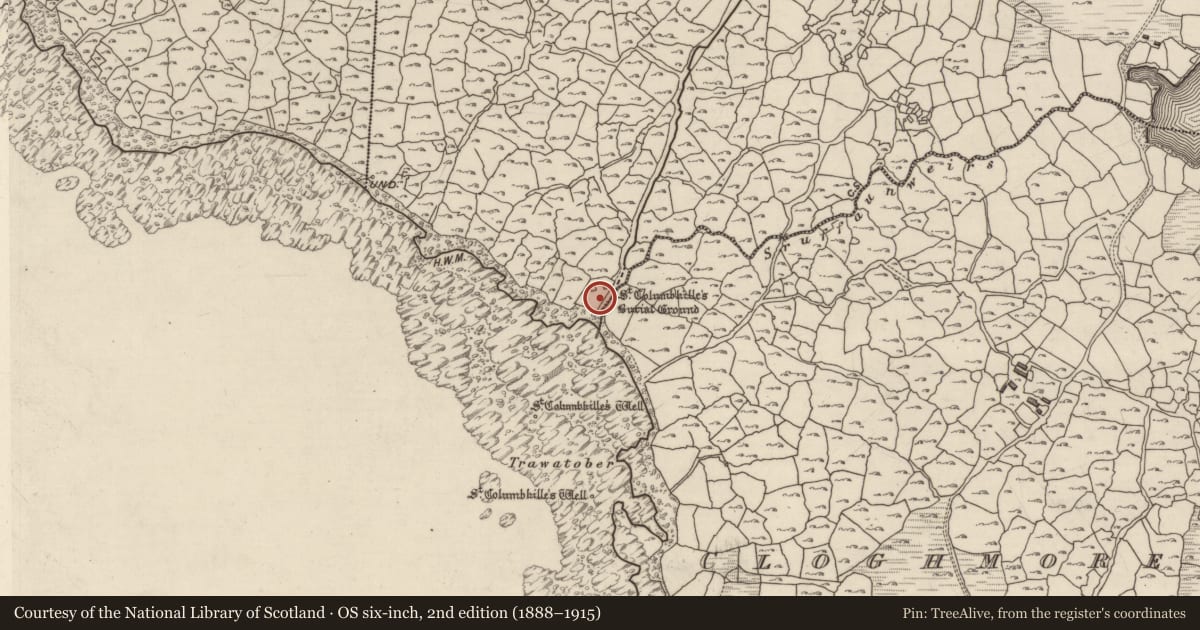 Ordnance Survey six-inch map, 2nd edition (1888–1915) covering the location of Graveyard, An Bhánrainn Bhán Theas, County Galway, with a pin at the register's coordinates