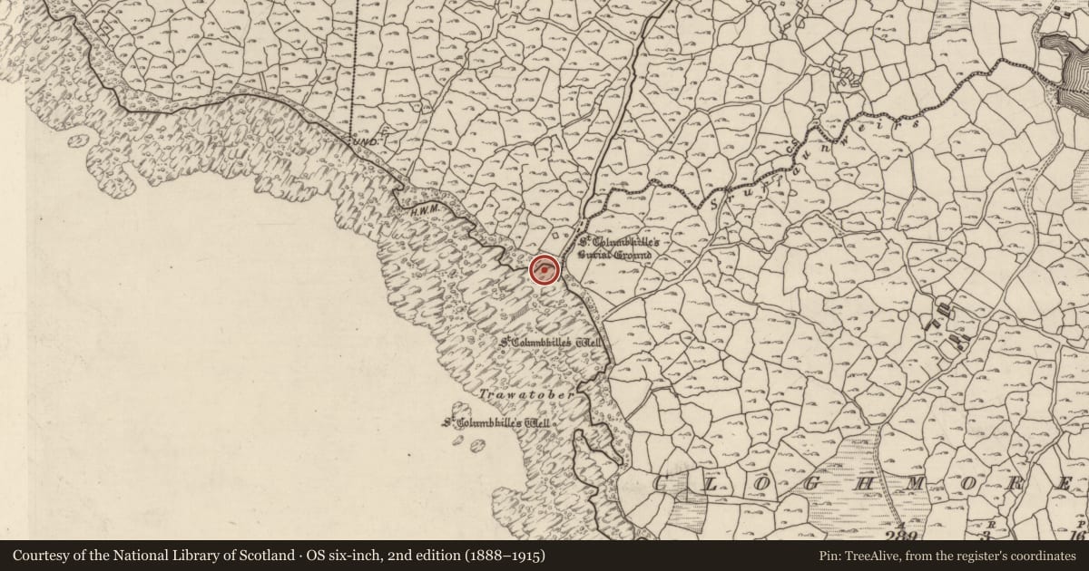 Ordnance Survey six-inch map, 2nd edition (1888–1915) covering the location of Ritual site - holy/saint's stone, An Bhánrainn Bhán Theas, County Galway, with a pin at the register's coordinates