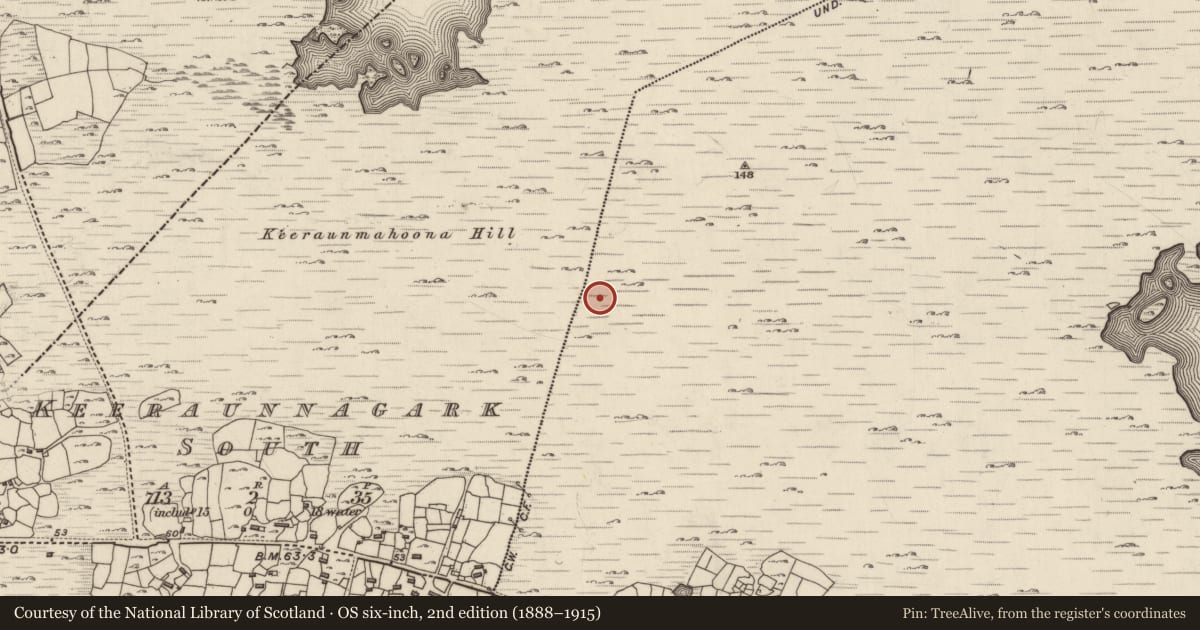 Ordnance Survey six-inch map, 2nd edition (1888–1915) covering the location of Watchtower, An Bhánrainn Bhán Theas, County Galway, with a pin at the register's coordinates