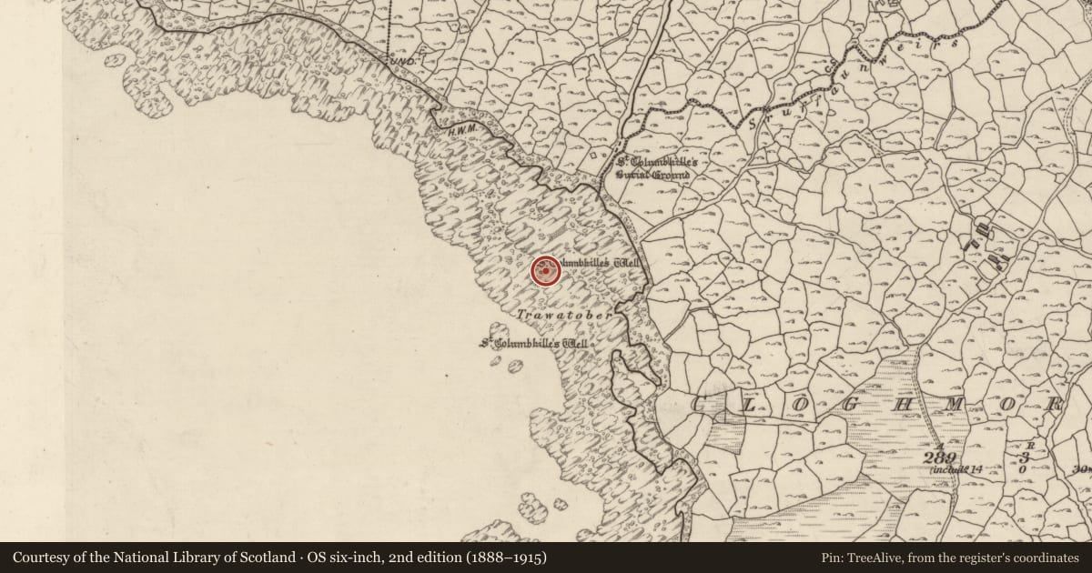 Ordnance Survey six-inch map, 2nd edition (1888–1915) covering the location of Ritual site - holy well, An Chloich Mhór Theas, County Galway, with a pin at the register's coordinates