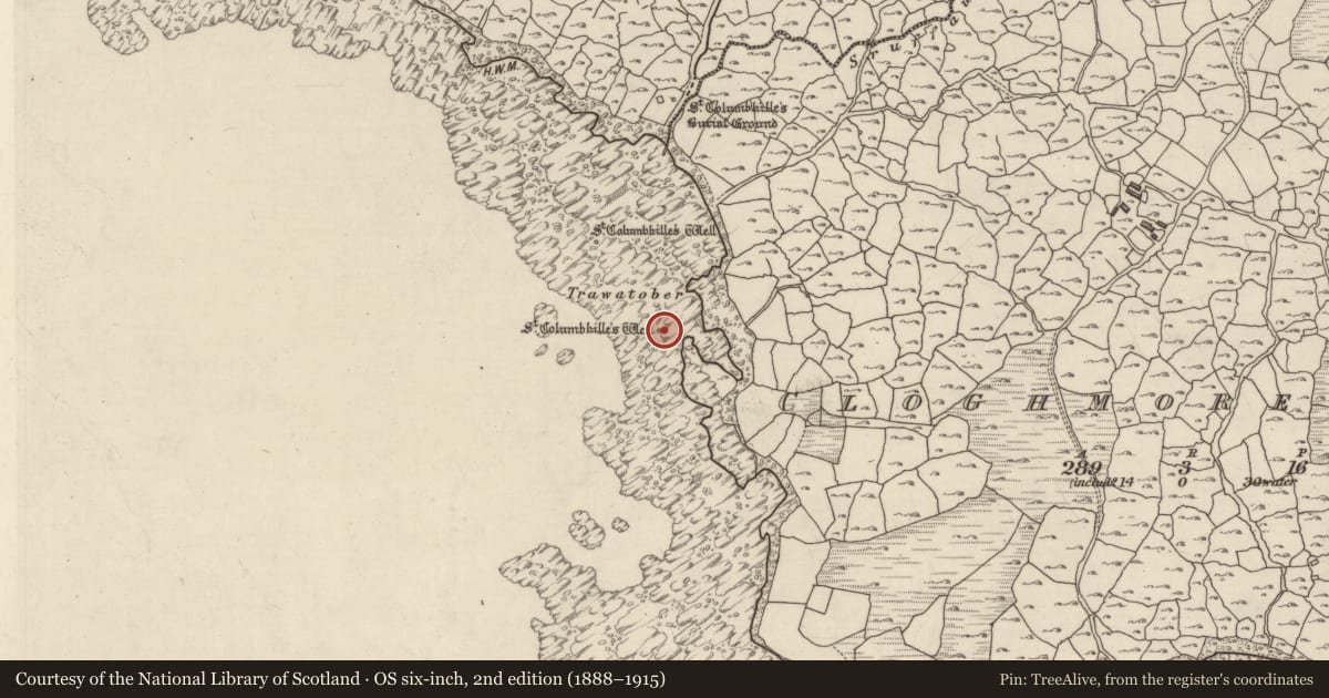 Ordnance Survey six-inch map, 2nd edition (1888–1915) covering the location of Ritual site - holy well, An Chloich Mhór Theas, County Galway, with a pin at the register's coordinates