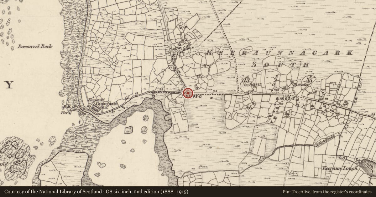 Ordnance Survey six-inch map, 2nd edition (1888–1915) covering the location of Boundary stone, Ballintleva, County Galway, with a pin at the register's coordinates