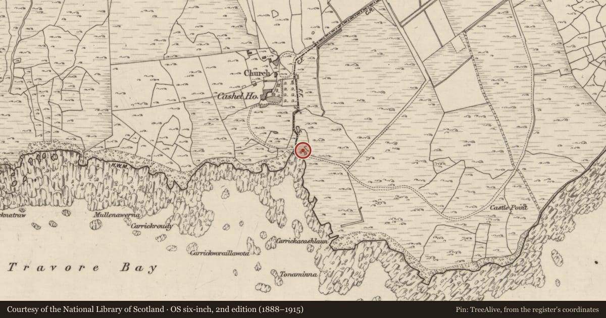 Ordnance Survey six-inch map, 2nd edition (1888–1915) covering the location of Castle - unclassified, Na Mine, County Galway, with a pin at the register's coordinates
