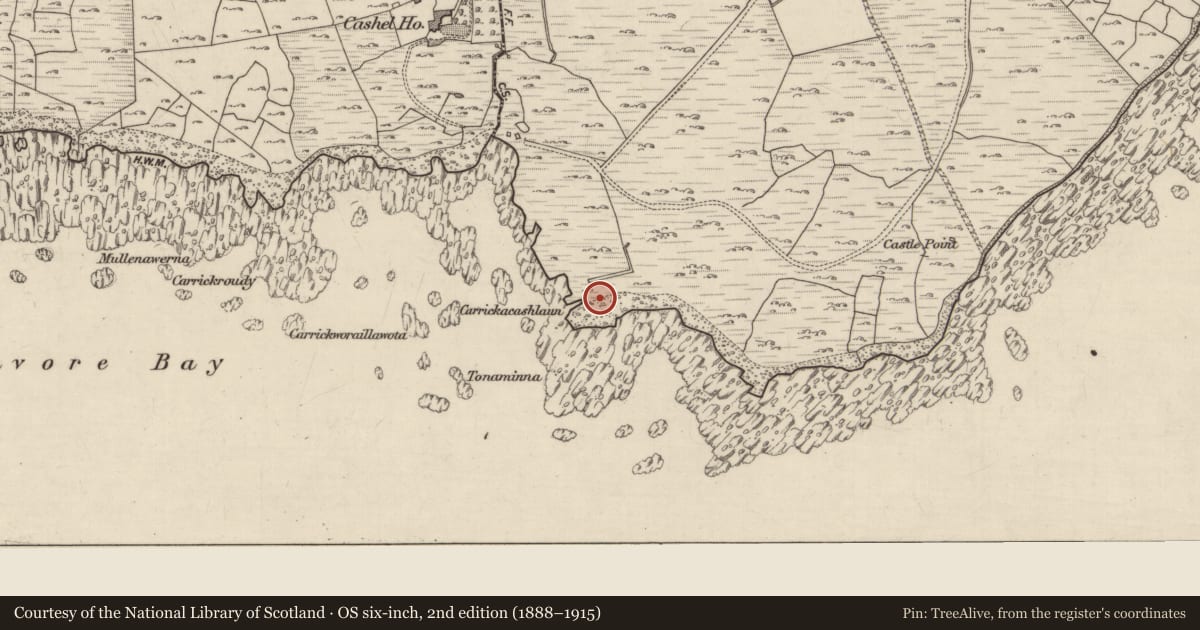 Ordnance Survey six-inch map, 2nd edition (1888–1915) covering the location of Children's burial ground, Na Mine, County Galway, with a pin at the register's coordinates