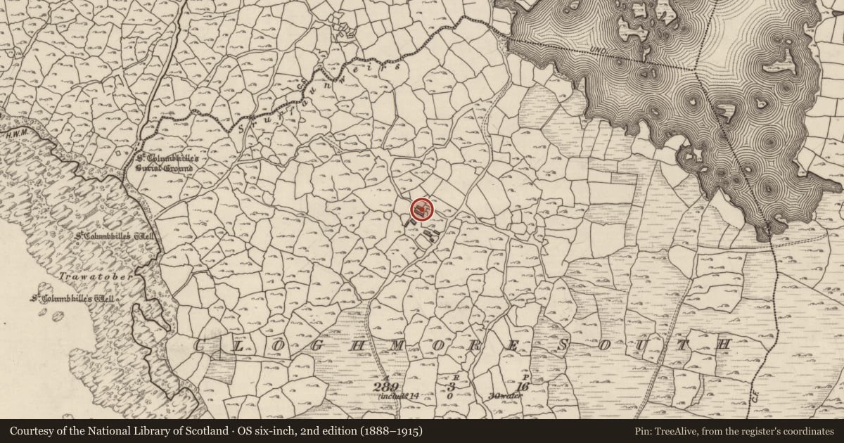 Ordnance Survey six-inch map, 2nd edition (1888–1915) covering the location of House - vernacular house, An Chloich Mhór Theas, County Galway, with a pin at the register's coordinates