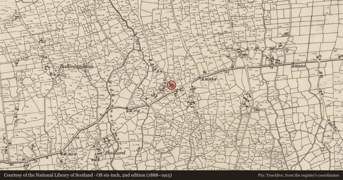 Ordnance Survey six-inch map, 2nd edition (1888–1915) covering the location of House - 18th/19th century, An Lochán Beag, County Galway, with a pin at the register's coordinates