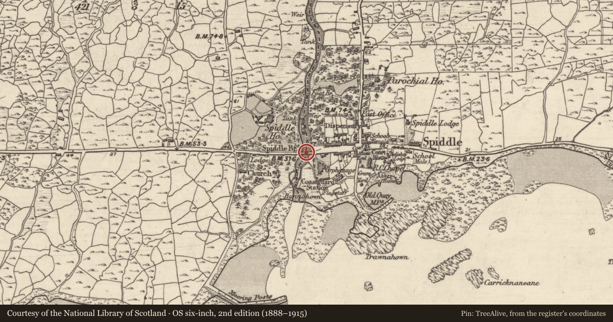 Ordnance Survey six-inch map, 2nd edition (1888–1915) covering the location of Bridge, An Spidéal Thiar, Both Chuanna Thoir, County Galway, with a pin at the register's coordinates