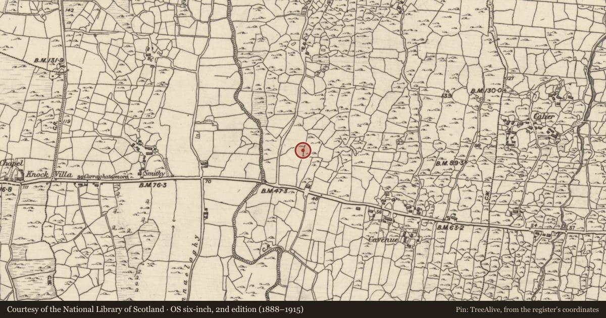 Ordnance Survey six-inch map, 2nd edition (1888–1915) covering the location of Mine, Coill Rua Thiar, County Galway, with a pin at the register's coordinates