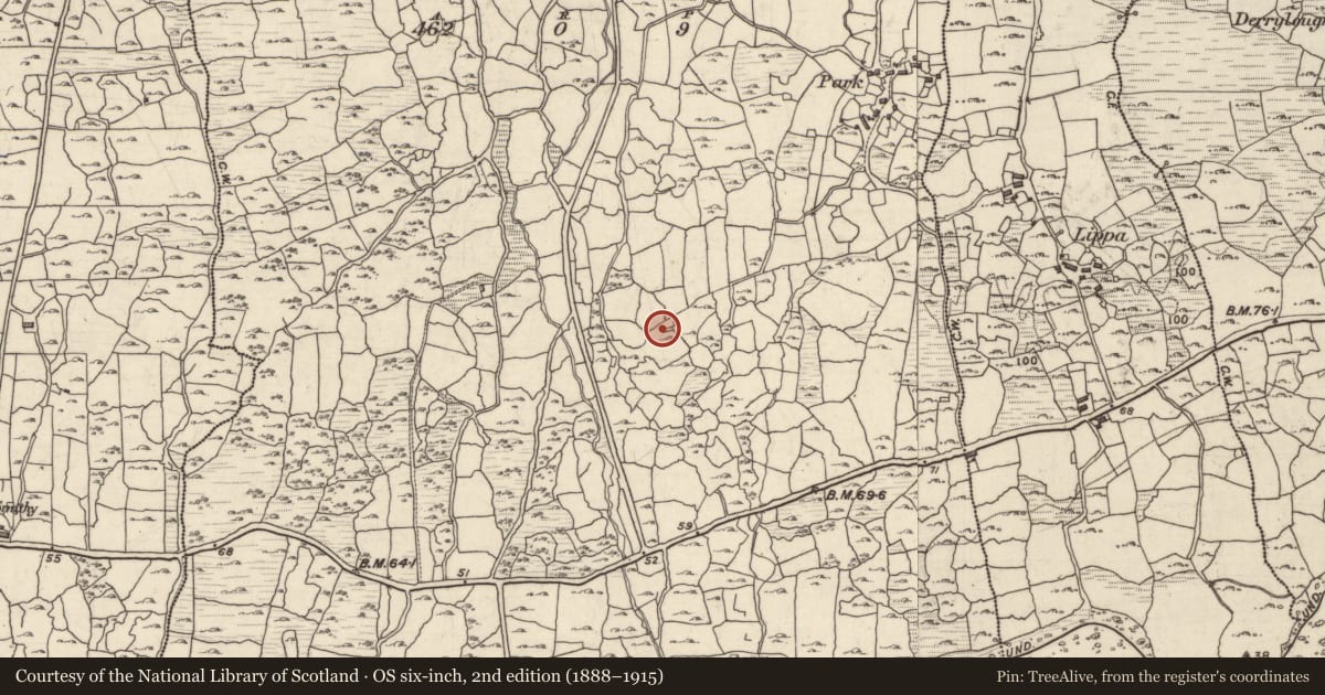 Ordnance Survey six-inch map, 2nd edition (1888–1915) covering the location of House - indeterminate date, An Pháirc, County Galway, with a pin at the register's coordinates