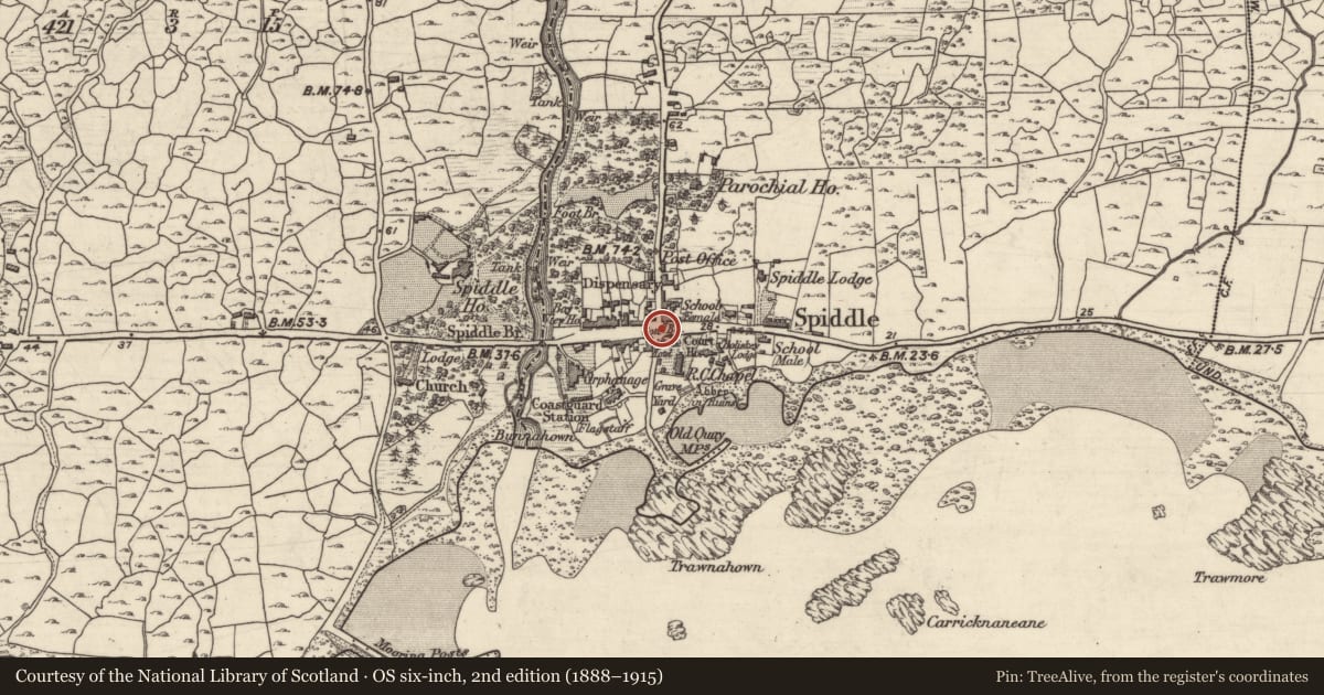 Ordnance Survey six-inch map, 2nd edition (1888–1915) covering the location of Town, An Spidéal Thiar, County Galway, with a pin at the register's coordinates