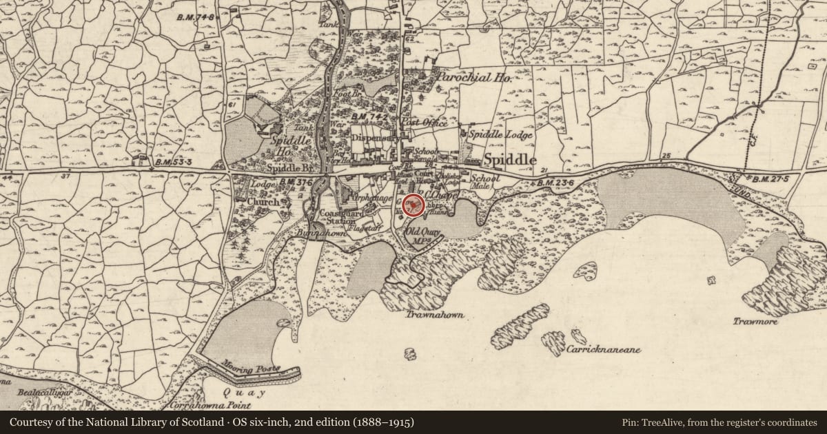 Ordnance Survey six-inch map, 2nd edition (1888–1915) covering the location of Church, An Spidéal Thiar, County Galway, with a pin at the register's coordinates