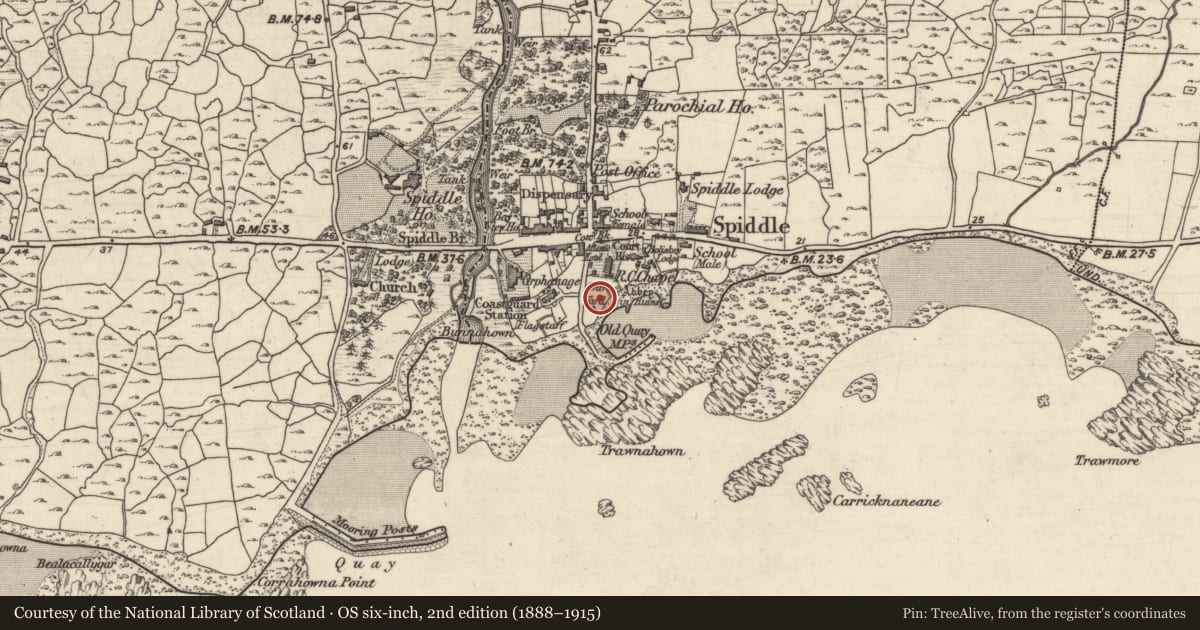 Ordnance Survey six-inch map, 2nd edition (1888–1915) covering the location of Graveyard, An Spidéal Thiar, County Galway, with a pin at the register's coordinates