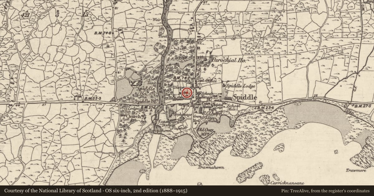 Ordnance Survey six-inch map, 2nd edition (1888–1915) covering the location of Chapel, An Spidéal Thiar, County Galway, with a pin at the register's coordinates