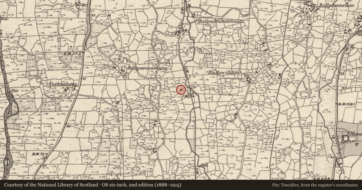 Ordnance Survey six-inch map, 2nd edition (1888–1915) covering the location of Mass-rock, An Spidéal Thiar, County Galway, with a pin at the register's coordinates