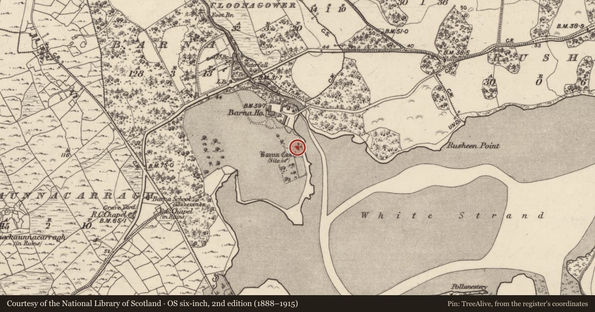 Ordnance Survey six-inch map, 2nd edition (1888–1915) covering the location of Castle - unclassified, Bearna (Gaillimh), County Galway, with a pin at the register's coordinates