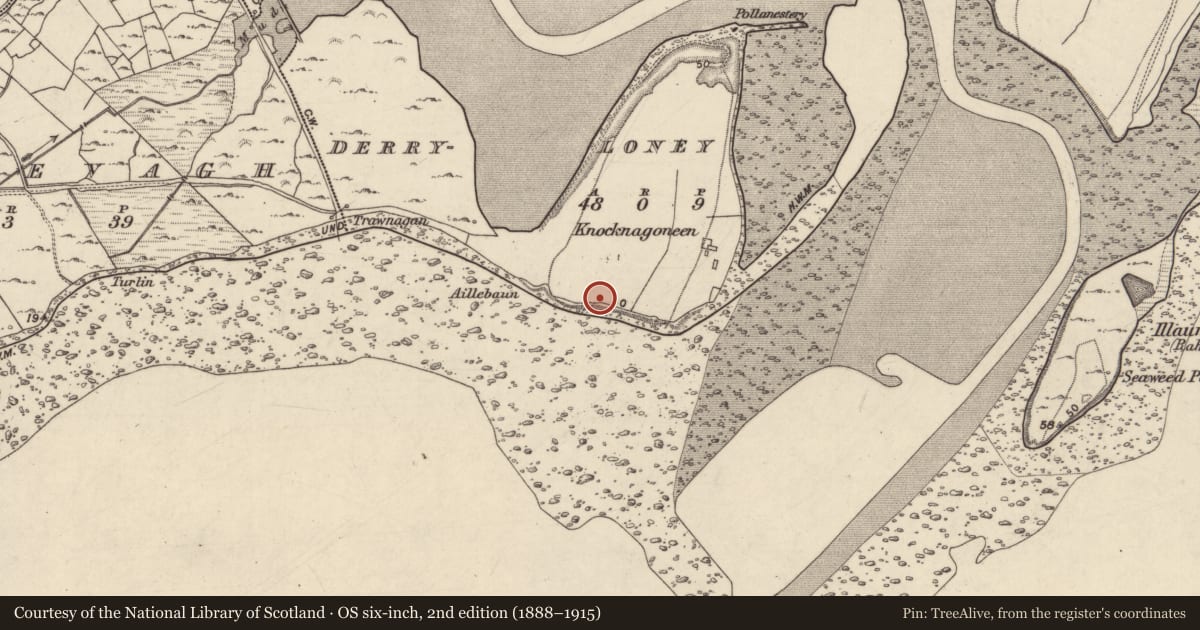 Ordnance Survey six-inch map, 2nd edition (1888–1915) covering the location of Midden, Derryloney, County Galway, with a pin at the register's coordinates
