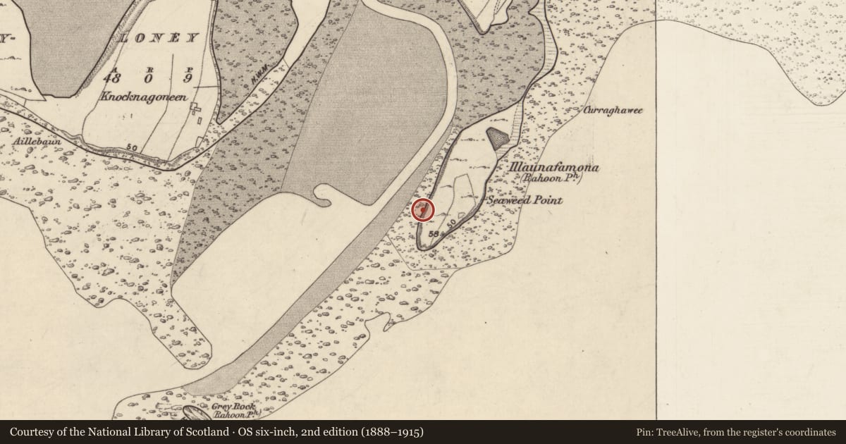 Ordnance Survey six-inch map, 2nd edition (1888–1915) covering the location of Midden, Knocknacarragh, County Galway, with a pin at the register's coordinates