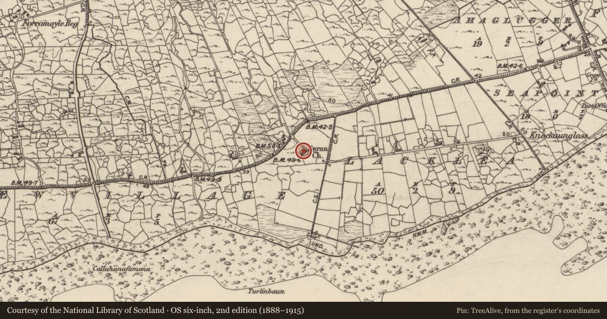 Ordnance Survey six-inch map, 2nd edition (1888–1915) covering the location of Church, Newvillage, County Galway, with a pin at the register's coordinates