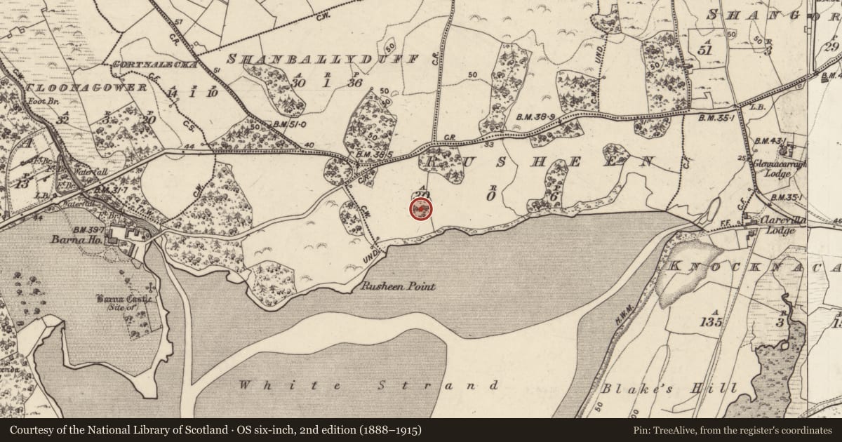 Ordnance Survey six-inch map, 2nd edition (1888–1915) covering the location of Designed landscape feature, An Roisín, County Galway, with a pin at the register's coordinates