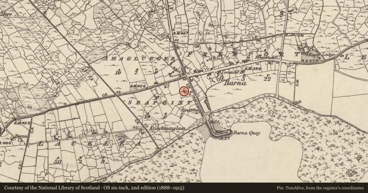 Ordnance Survey six-inch map, 2nd edition (1888–1915) covering the location of Graveyard, Rinn Na Mara, County Galway, with a pin at the register's coordinates